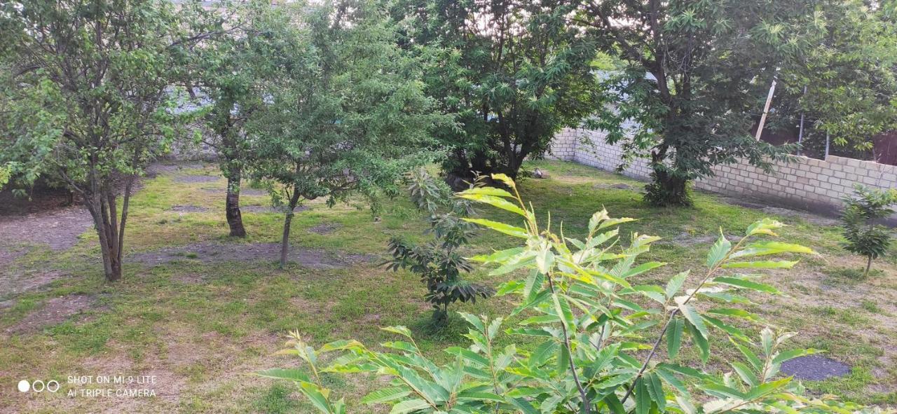 House Samir Villa Gabala
